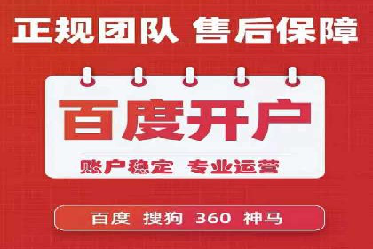 实战解析：SEM网络推广成功案例分享